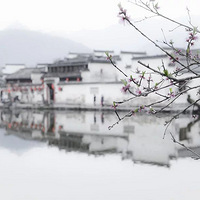 ������29������ţ�ˣ��������˱���������