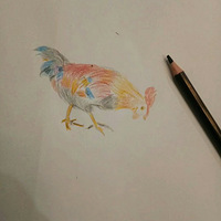 �һ��˼�����