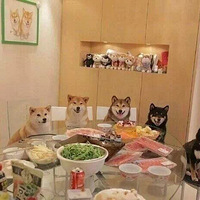 �����ǵ��ճ�