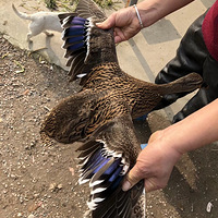 ��˽��֮��ҰѼ����������...