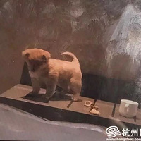 20��Ů���ѱ��������� �����ϰ˵��ĵ��賿 û�뵽����