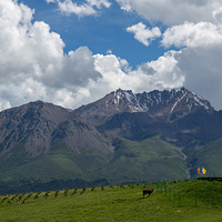 ׿��ɽ�Ͽ�ţ��ɽ�����ຣ����