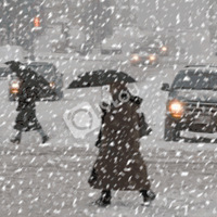 ���˳���ע���ˣ�2019�괺����ǿ���������������·�ϵ��ٿ���