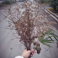 �ȶ��ˡ���