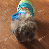 һֻ���軵��̩��