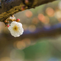 ֲ��԰÷��~~~