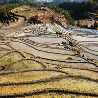 �㽭��ˮ�ƺ�����