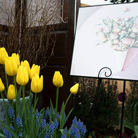 ӭ����չ ������~~~