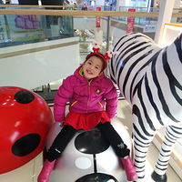 ������ս�¡������� ������ ����������  ���� ����