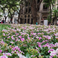 ���Ħ�ݹ�ɳ��