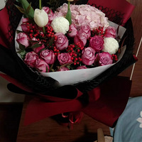 ����ʮһ���������¡���Ů��̤������