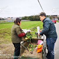 ���в��ţ�����Ұ������Ұ��