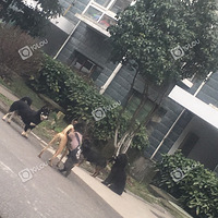 ��¥�������ϻ�ͦ�ס�