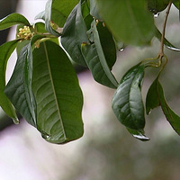 �ⳡ���µ�3��31�գ���������̨�������ҷ��ģ�