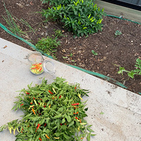 �Լ��ֵ�����?9?2?1?5