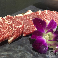 �����ʽ���⻹����