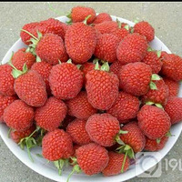 ���˾�����ˮ����Ҷ�����ӣ�ţ��ĸ�������˻���û�Թ�