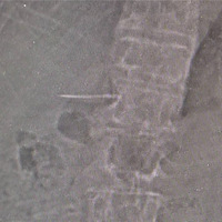 ����һ�Ϻ�����ȡ��4���׳����룡һ�龹Ȼ��20��ǰ�йأ�