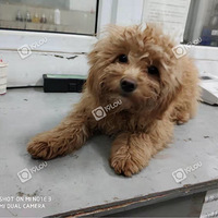 Ѱ�ҹ����ˣ����ں�Դ�¶����������ġ�