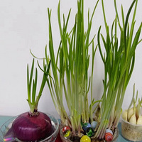 ˮ��Ҳ�����գ�����