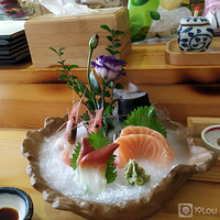 �֠D��������˫�˲�̫�����˰�