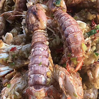 ƤƤϺ��������