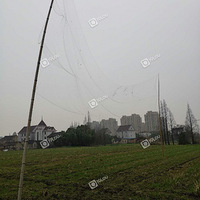 ���в��ţ�Ѳ�ֻ���--��Ȼ֮��ƽ��С�����ж�