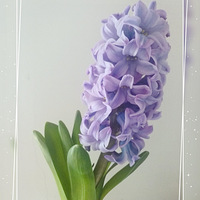 ���������ã�Ů��ڿ���