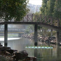 ���������к���ˮ��ҽ���ȣ���ĸ����֪��  ֱ�����������š���