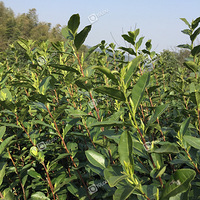 ���˱����ز����ϱ���������������