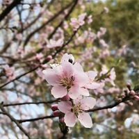 �򿨺�����Ϫʪ��