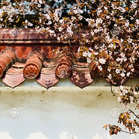 �Ͳ˻����ˣ���̤��ȥ�ɡ���