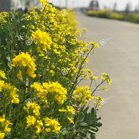 �̲�ס���ĵ��Ͳ˻�