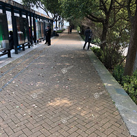 �ܷ���һ�����е���