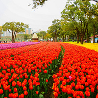 ���绨��----������