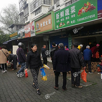 ������԰�����������ڡ���ս����