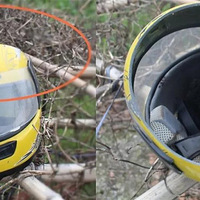 ���գ�����һ���γ�ײ�ϵ綯����ֱ�ӳ��������У��Ŷ�ײ����