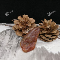 ����Сʱ����������