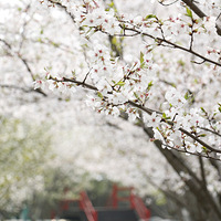 ӣ��Ҫл�ˣ�