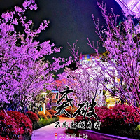 ���ϵ�ӣ���ÿ���