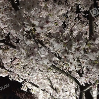 ӣ������ʱ�����϶���ô���ˡ�