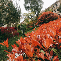 ��ĩ��Ҳ��ȥ  ���������ͻ�  �ͻ��;��ʹ���