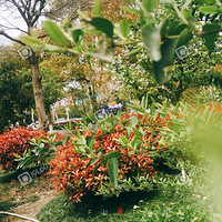 ��ĩ��Ҳ��ȥ  ���������ͻ�  �ͻ��;��ʹ���