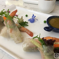 �Ƽ����̩����