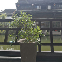 �����������;�����