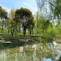 ֲ��԰��Խ��Խ���ˡ�