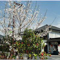 ������ũ��