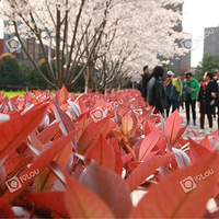 ����ͬ�ô�ѧ��ӣ��