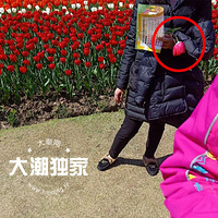 ̫�����ˣ����컯��֮�£�����3�����边Ȼ�������������飡