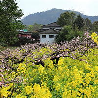 ���˳�ɽ��